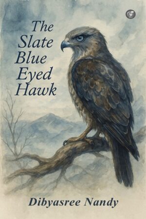 The Slate Blue Eyed Hawk